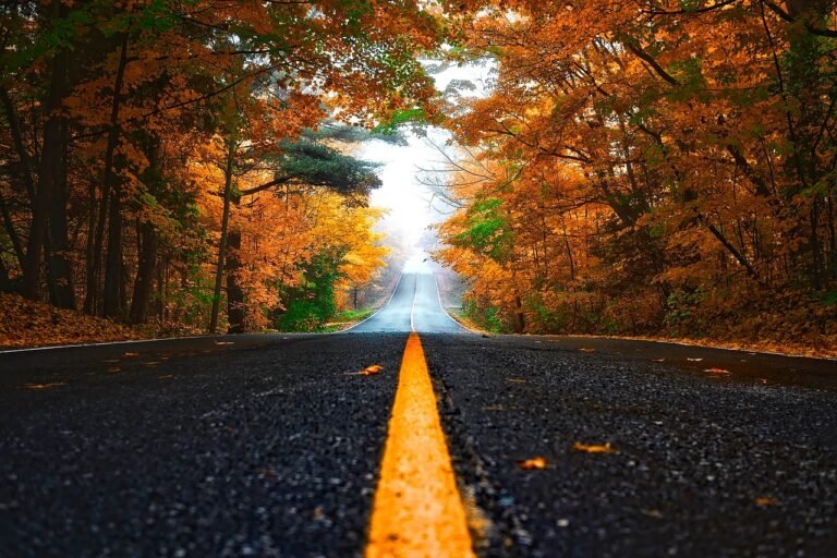 10 of the Most Colorful Fall Road Trips in the U.S.