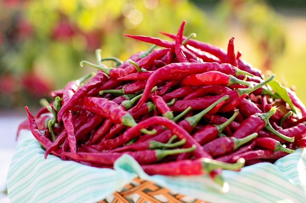 How to Grow Cayenne Peppers: A Beginner's Guide