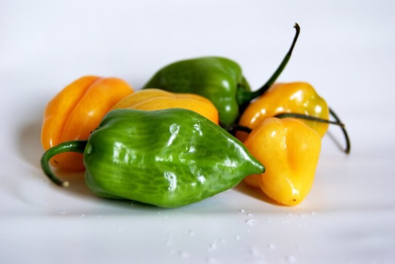 How to Grow Habanero Peppers: A Beginner's Guide