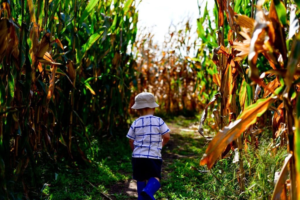 12 of the best outdoor family activities for fall