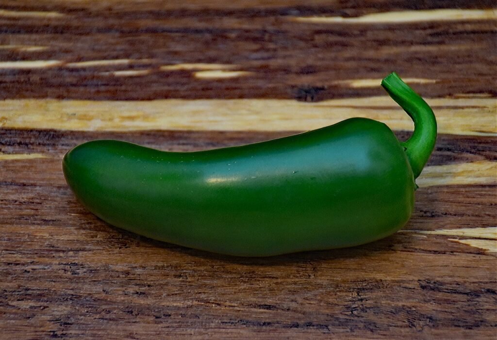 How to grow Jalapeno Peppers