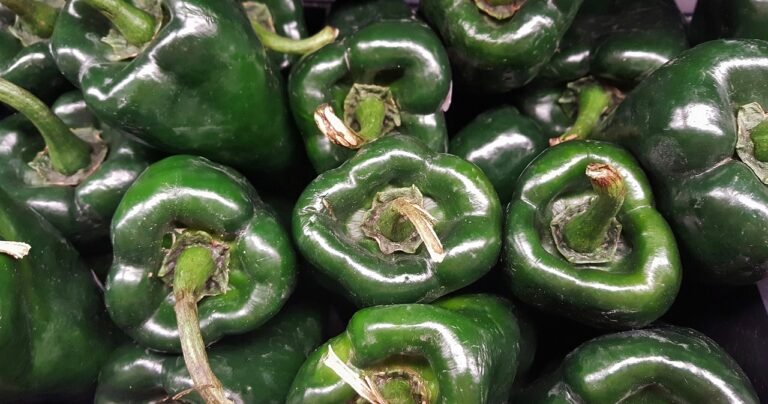 How to Grow Poblano Peppers