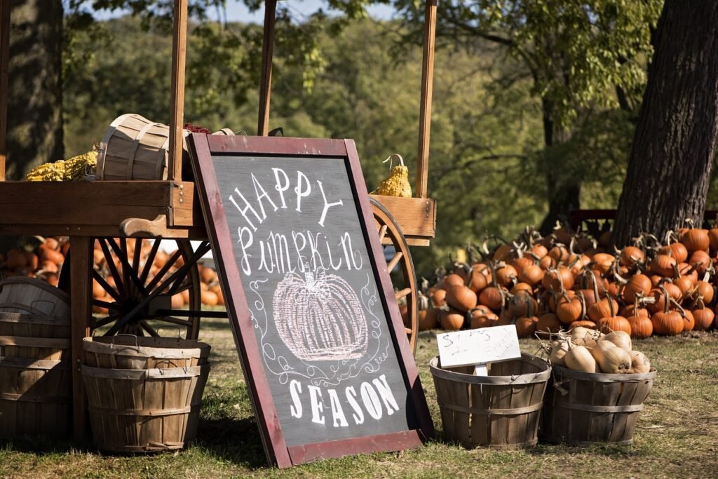 10 of the best pumpkin patches in the U.S.