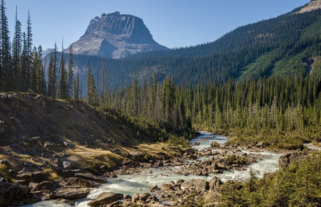 How to Prepare for Your First National Park Camping Trip