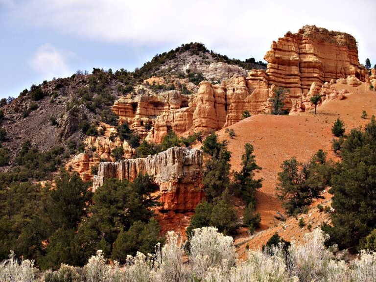 How to Prepare for Your First Trip to Zion